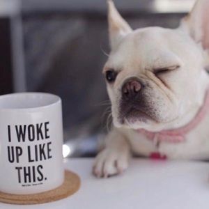 Meet your Posher, Susan